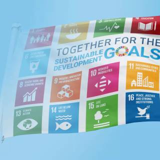 Sustainable Development Goals wallpaper