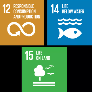 Sustainable Development Goals wallpaper