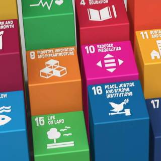 Sustainable Development Goals wallpaper