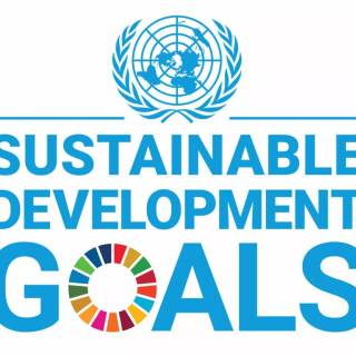 Sustainable Development Goals wallpaper