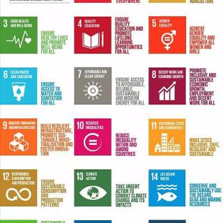 Sustainable Development Goals wallpaper