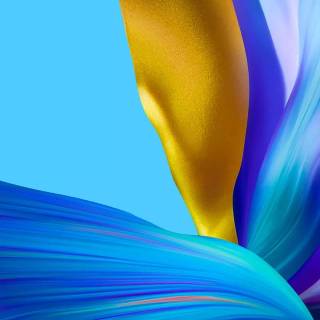 Vivo V40 Pro wallpaper