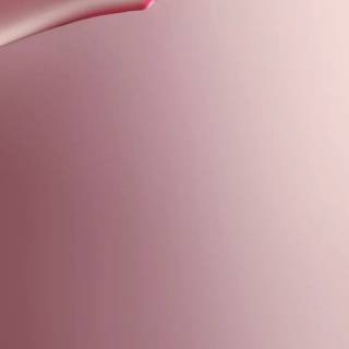 Vivo V40 Pro wallpaper