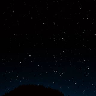 Vivo V40 Pro wallpaper