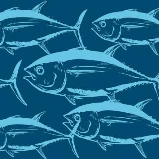 Fish logo wallpaper