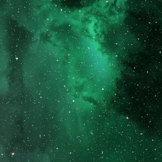 Green liquid wallpaper