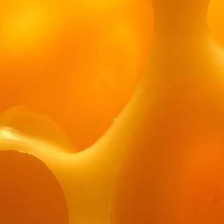 Swiss cheese wallpaper