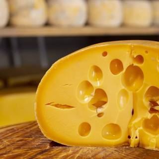 Swiss cheese wallpaper
