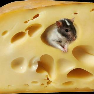 Swiss cheese wallpaper