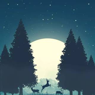 Night drawing wallpaper