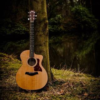 Guitar couple wallpaper