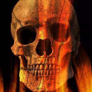 Skeleton logo wallpaper