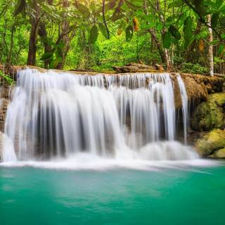 Jungle waterfall wallpaper