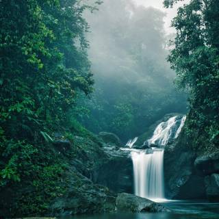 Jungle waterfall wallpaper