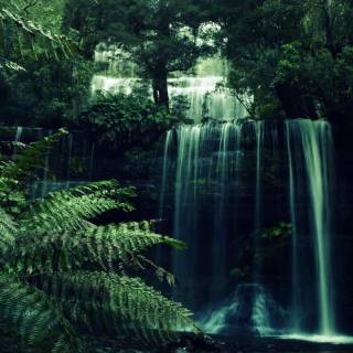 Jungle waterfall wallpaper