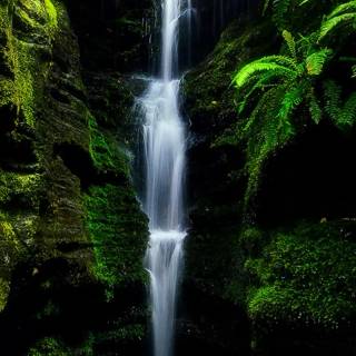 Jungle waterfall wallpaper