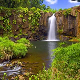 Jungle waterfall wallpaper