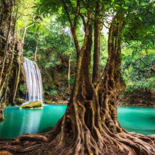 Jungle waterfall wallpaper