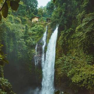 Jungle waterfall wallpaper