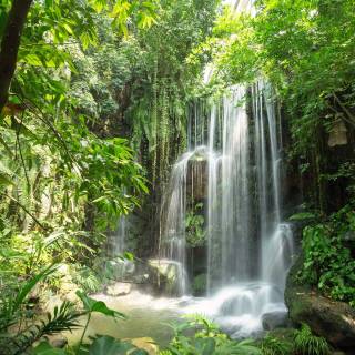 Jungle waterfall wallpaper
