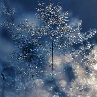 Snow laptop wallpaper