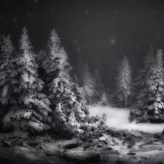 Snow laptop wallpaper