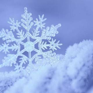 Snow laptop wallpaper