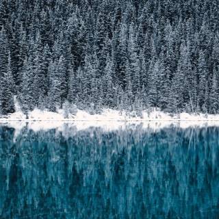 Snow laptop wallpaper