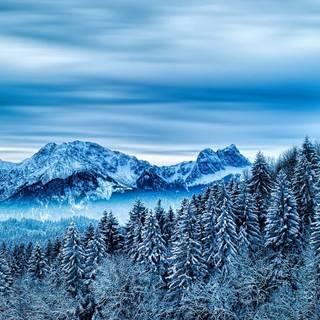 Snow laptop wallpaper