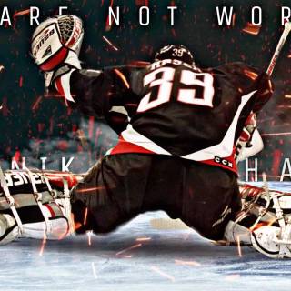 Dominik Hasek wallpaper