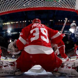 Dominik Hasek wallpaper