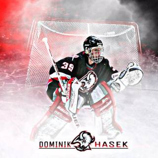Dominik Hasek wallpaper