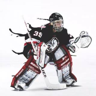 Dominik Hasek wallpaper