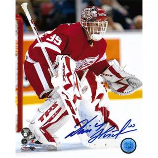 Dominik Hasek wallpaper