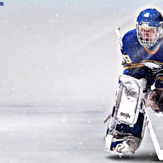 Dominik Hasek wallpaper