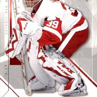 Dominik Hasek wallpaper