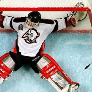 Dominik Hasek wallpaper