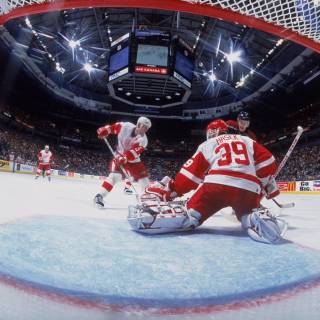 Dominik Hasek wallpaper