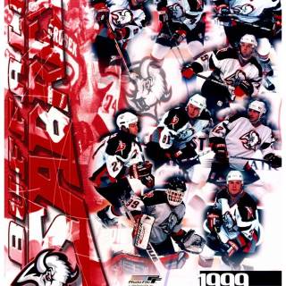 Dominik Hasek wallpaper