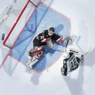 Dominik Hasek wallpaper