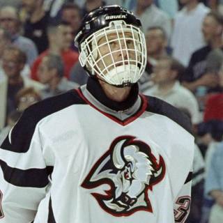 Dominik Hasek wallpaper