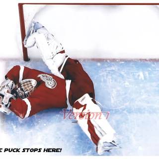 Dominik Hasek wallpaper
