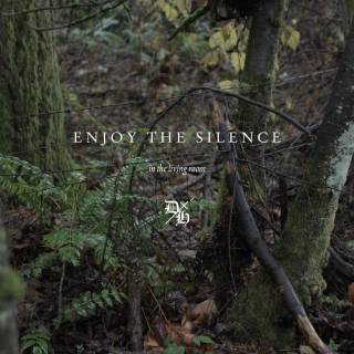 Enjoy The Silence wallpaper
