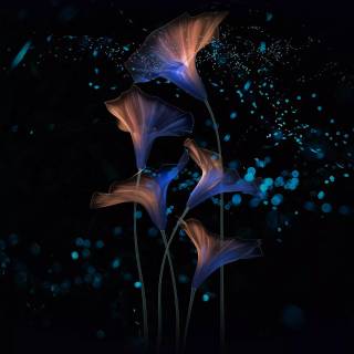 Dark magic 4k wallpaper