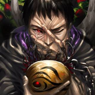 Tobi 4k PC wallpaper