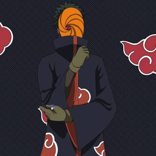 Tobi 4k PC wallpaper
