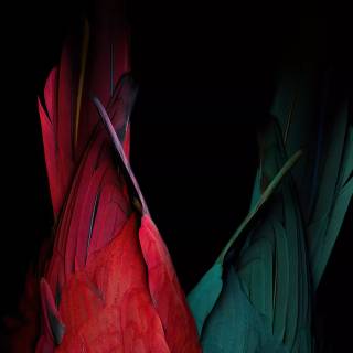 4k abstract oled wallpaper