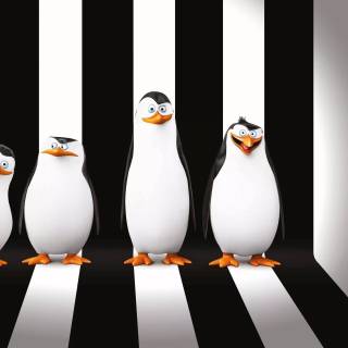 Penguins of Madagascar 4k wallpaper
