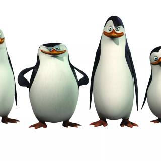 Penguins of Madagascar 4k wallpaper
