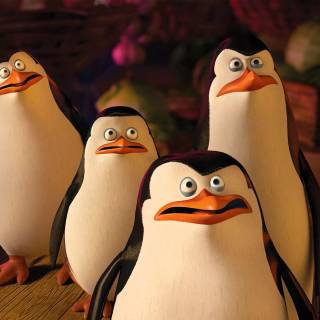 Penguins of Madagascar 4k wallpaper